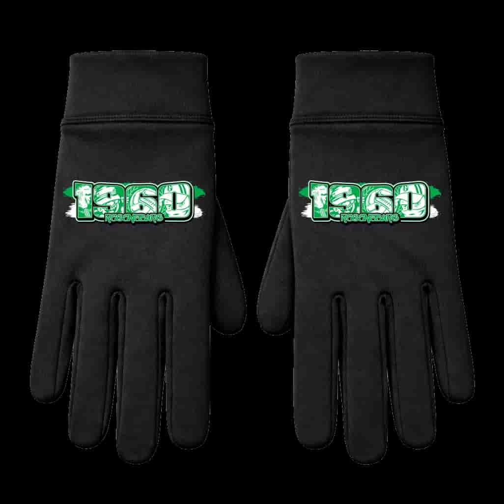 1960 Regensburg Handschuhe
