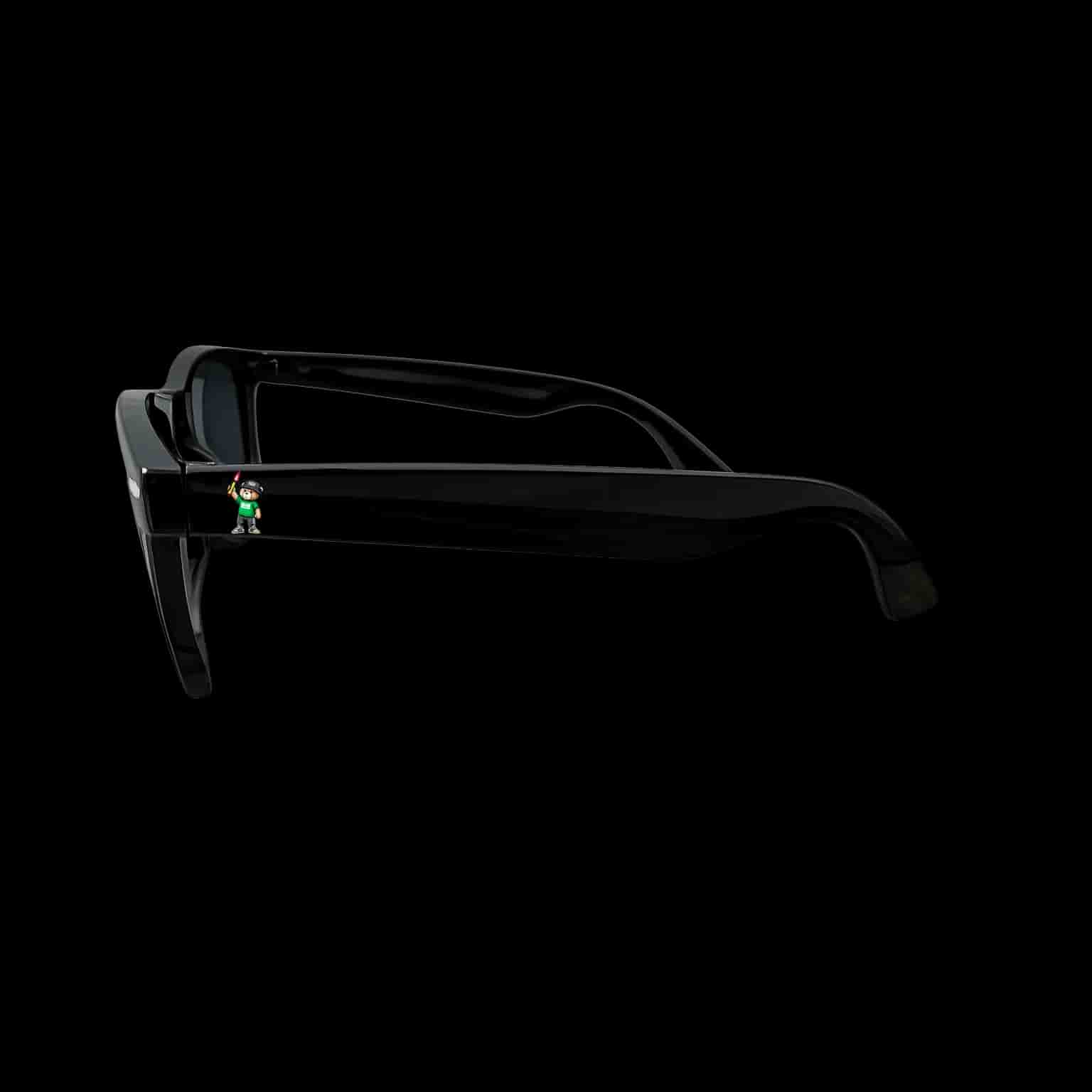 Eichstätt 1920 bear Sonnenbrille