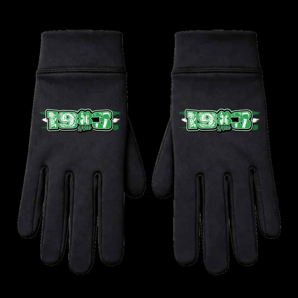 1903 SPVGG Handschuhe