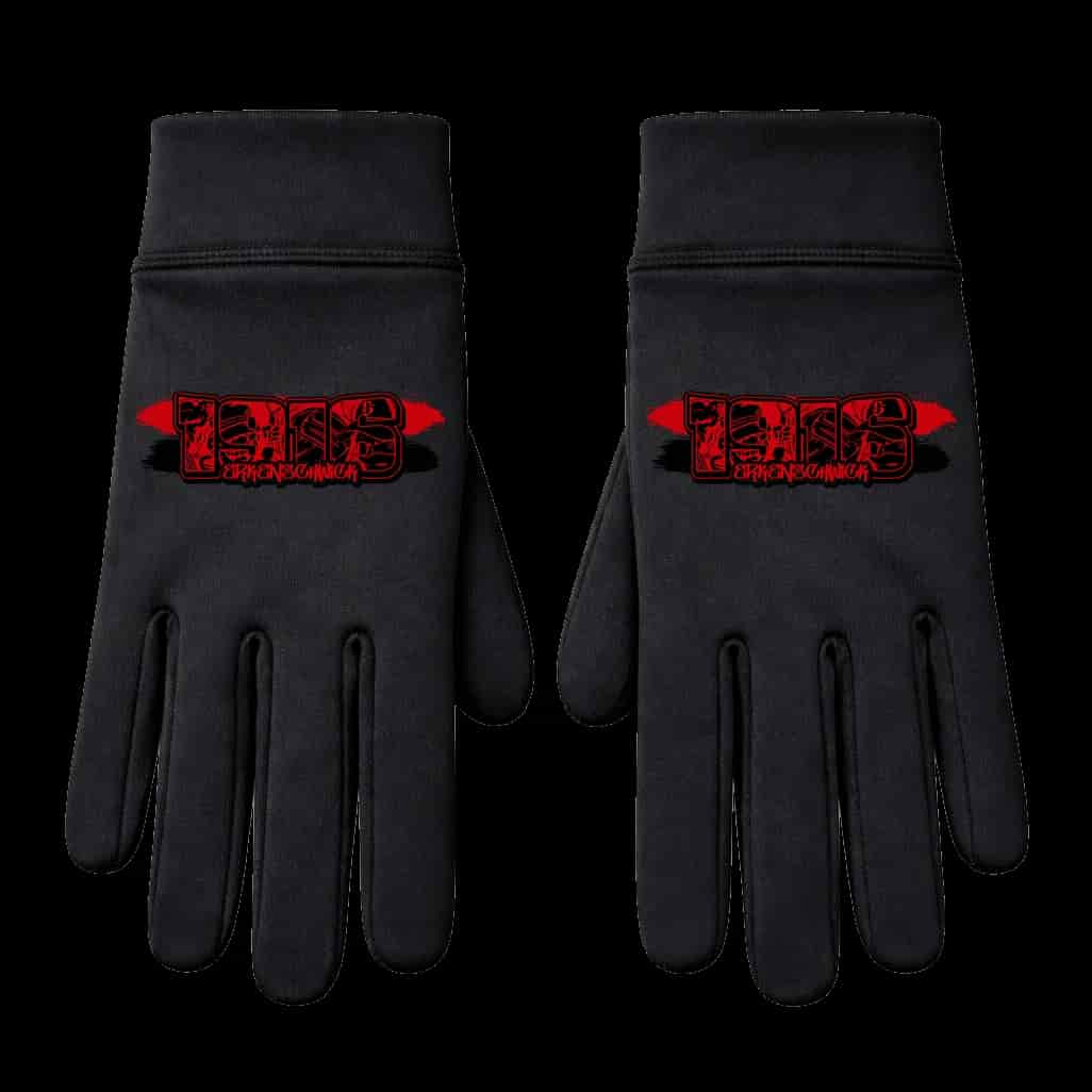 1916 Erkenschwick Handschuhe