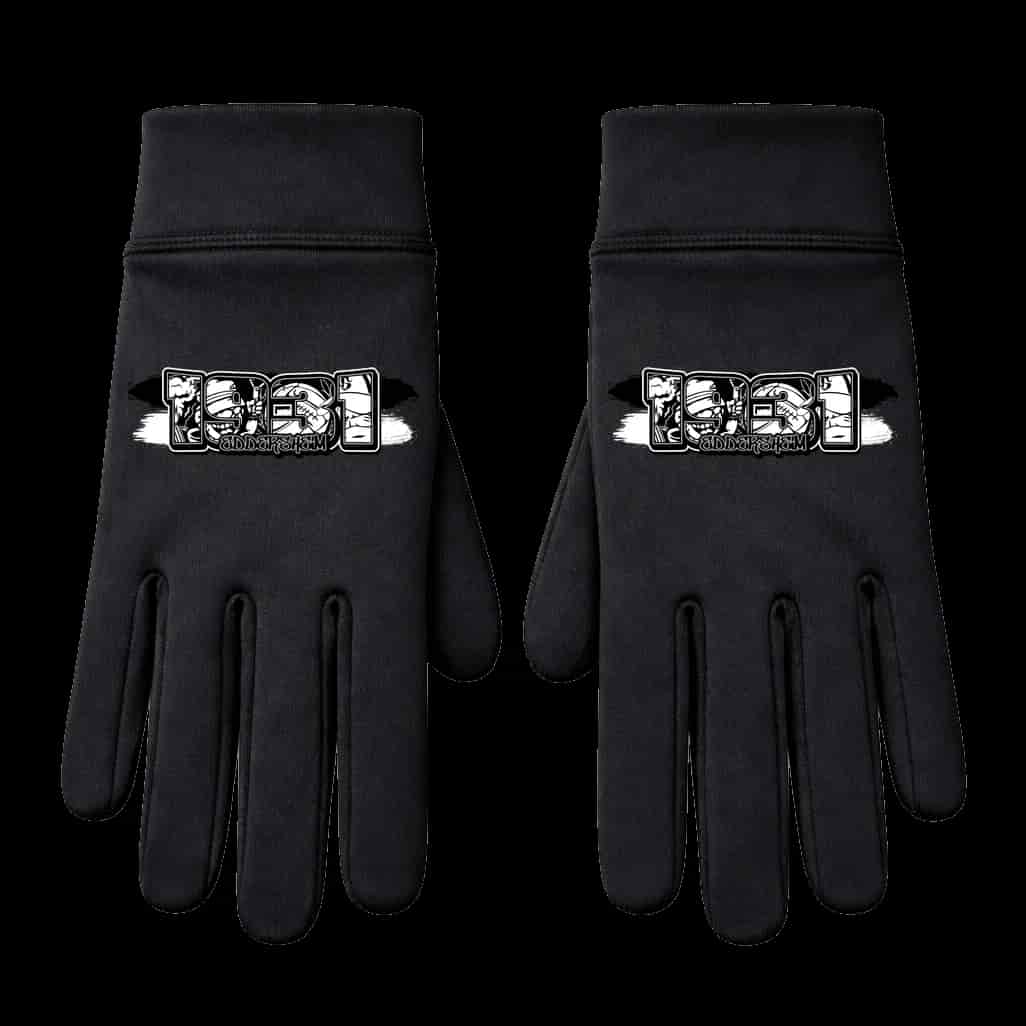 1931 Eddersheim Handschuhe