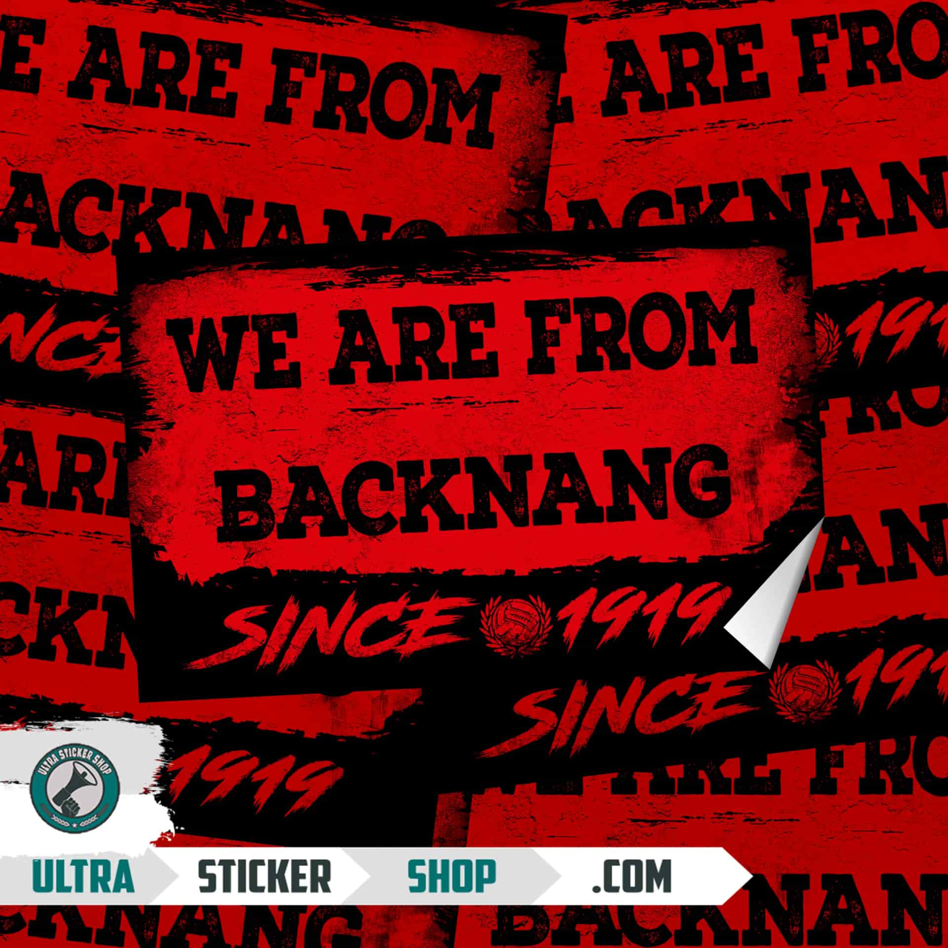 We Are From Backnang 1919 Aufkleber