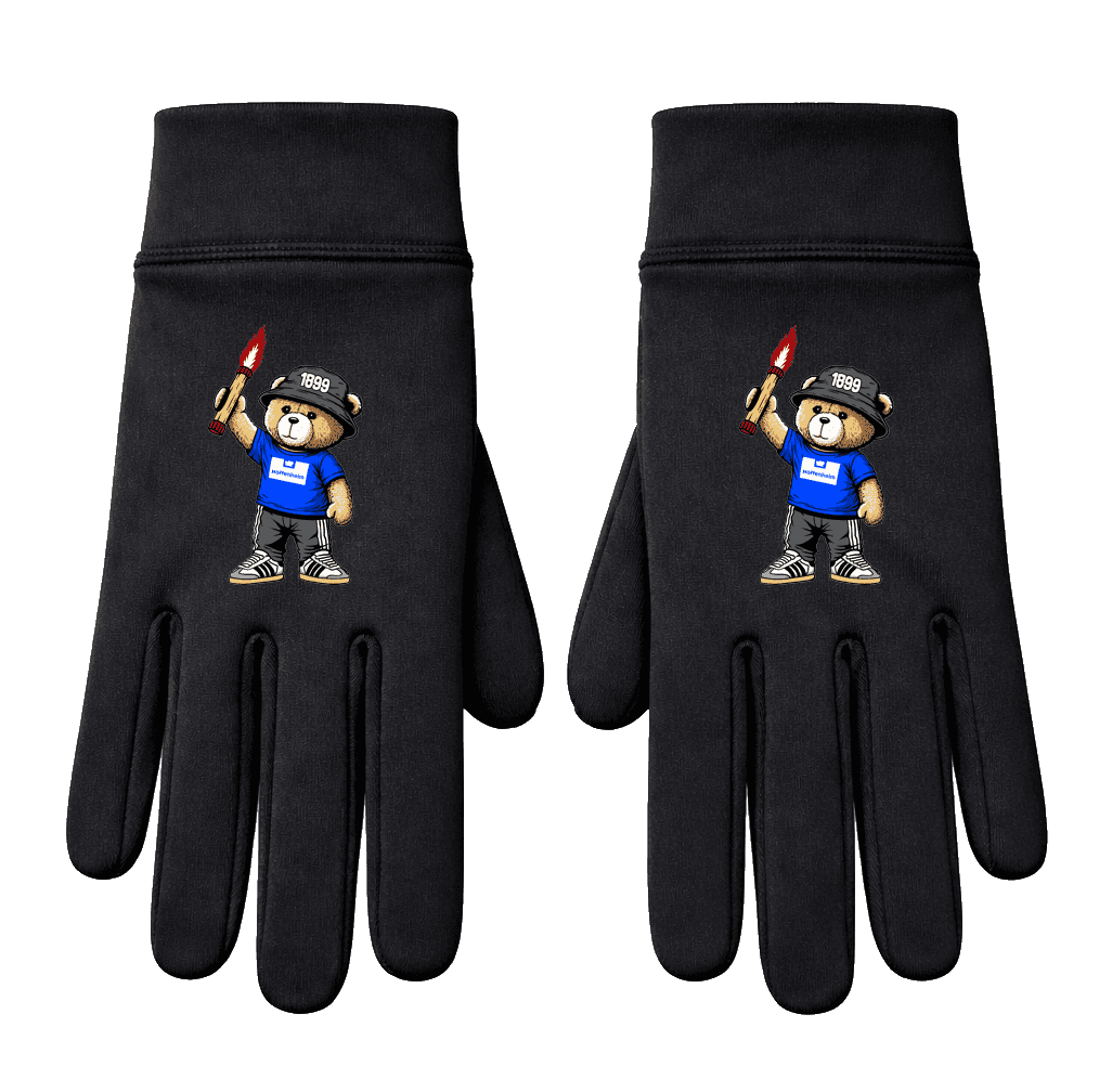 Hoffenheim 1899 bear Handschuhe