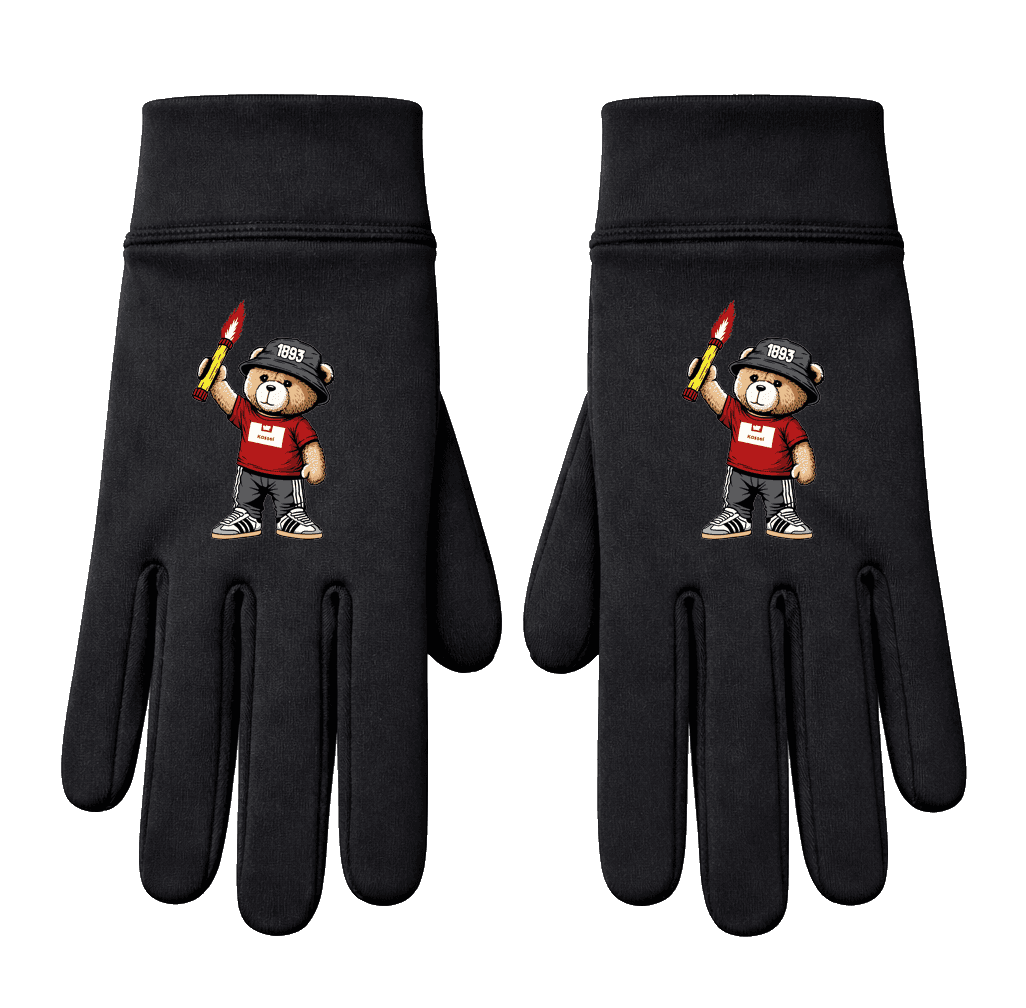 Kassel 1893 bear Handschuhe