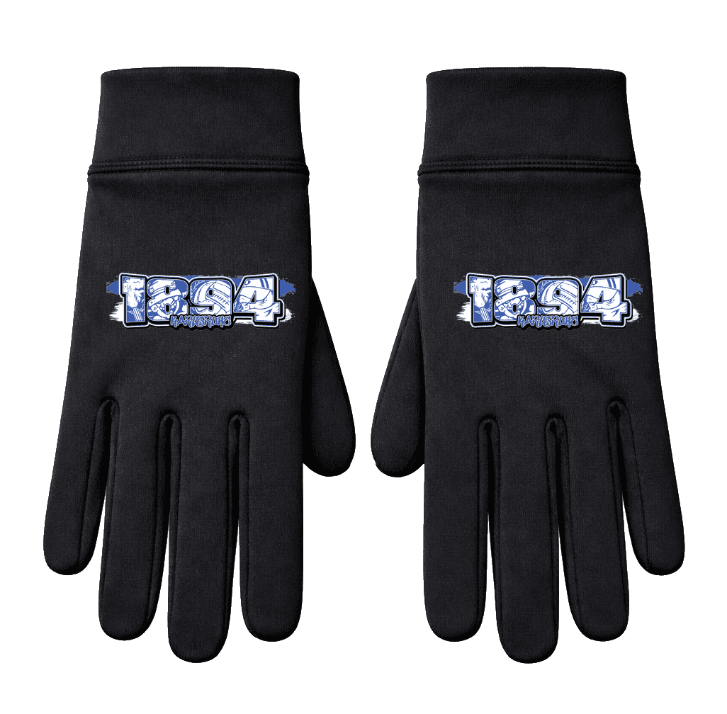 1894 Karlsruhe Handschuhe