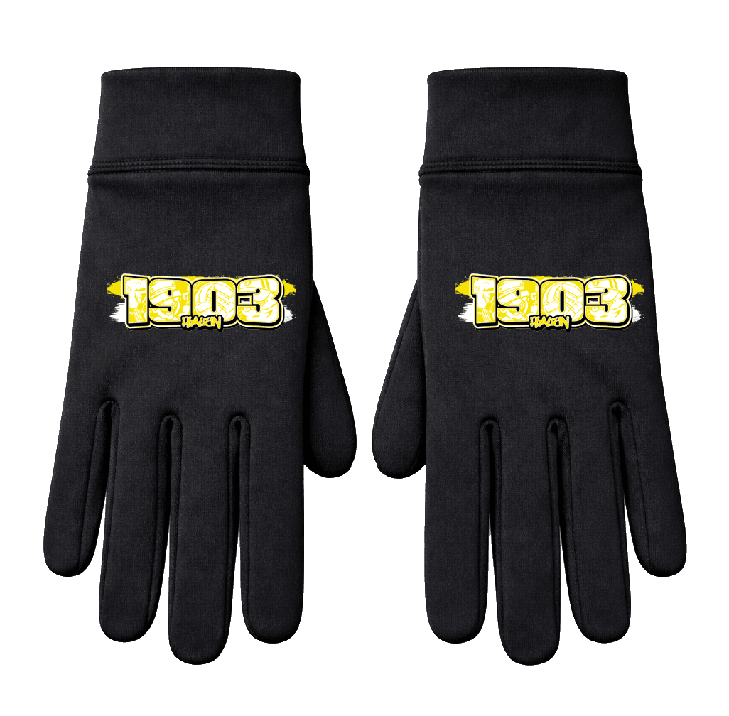 1903 Plauen Handschuhe
