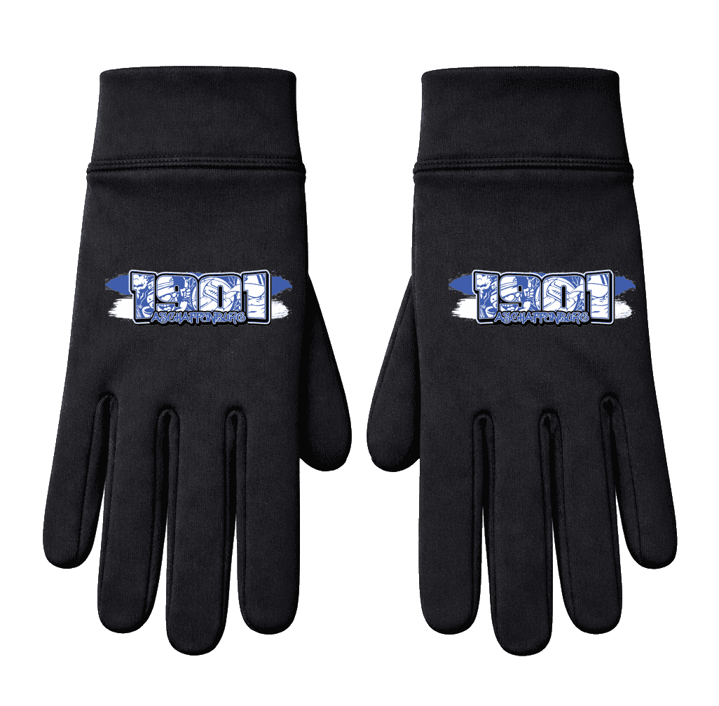 1901 Aschaffenburg Handschuhe