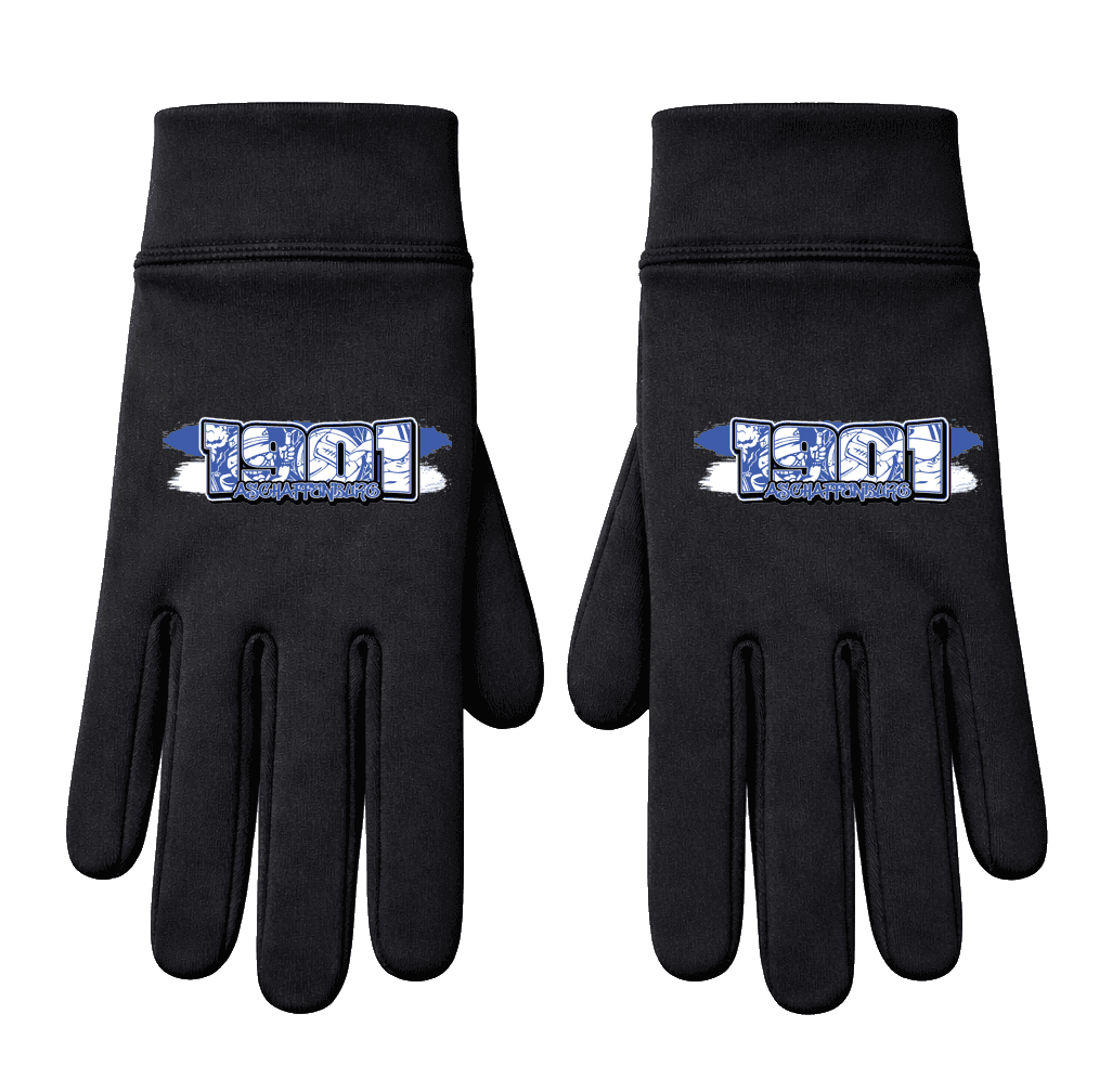 1901 Aschaffenburg Handschuhe