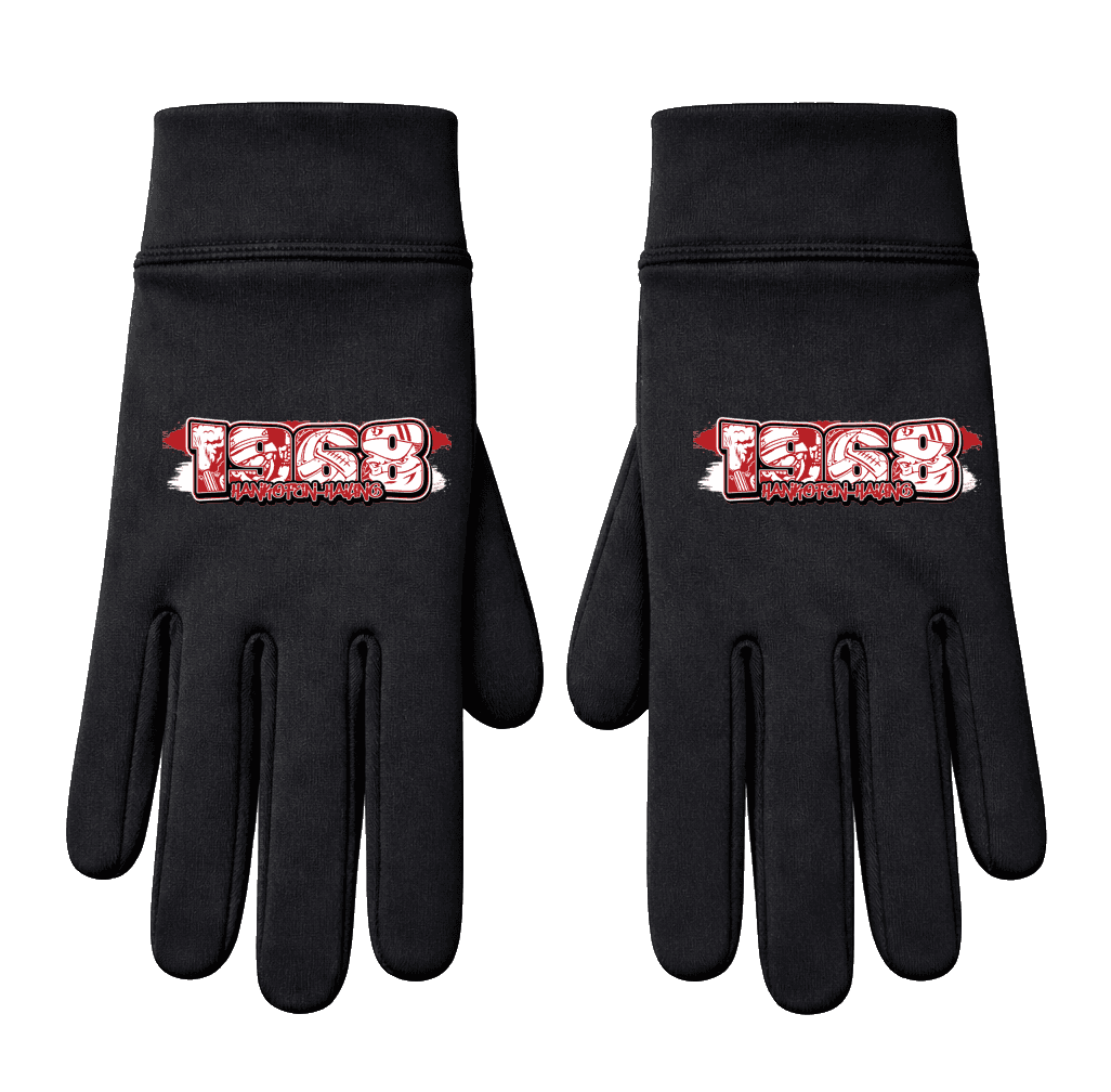1968 Hankofen-Hailing Handschuhe