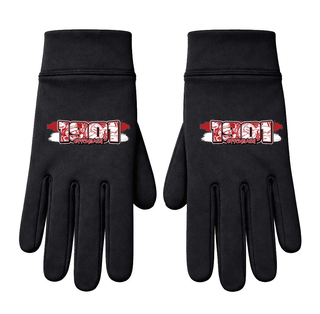 1901 Offenbach Handschuhe
