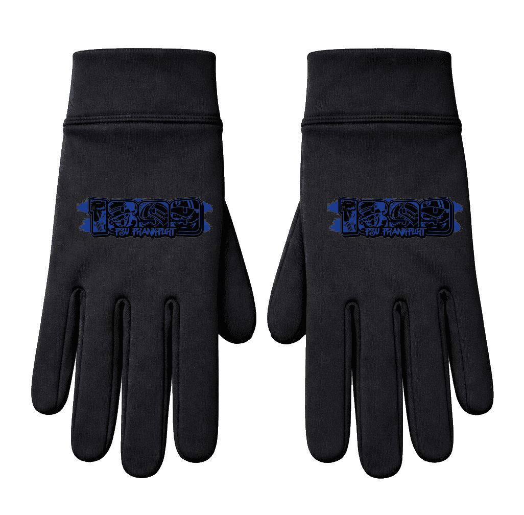 1899 FSV Frankfurt Handschuhe