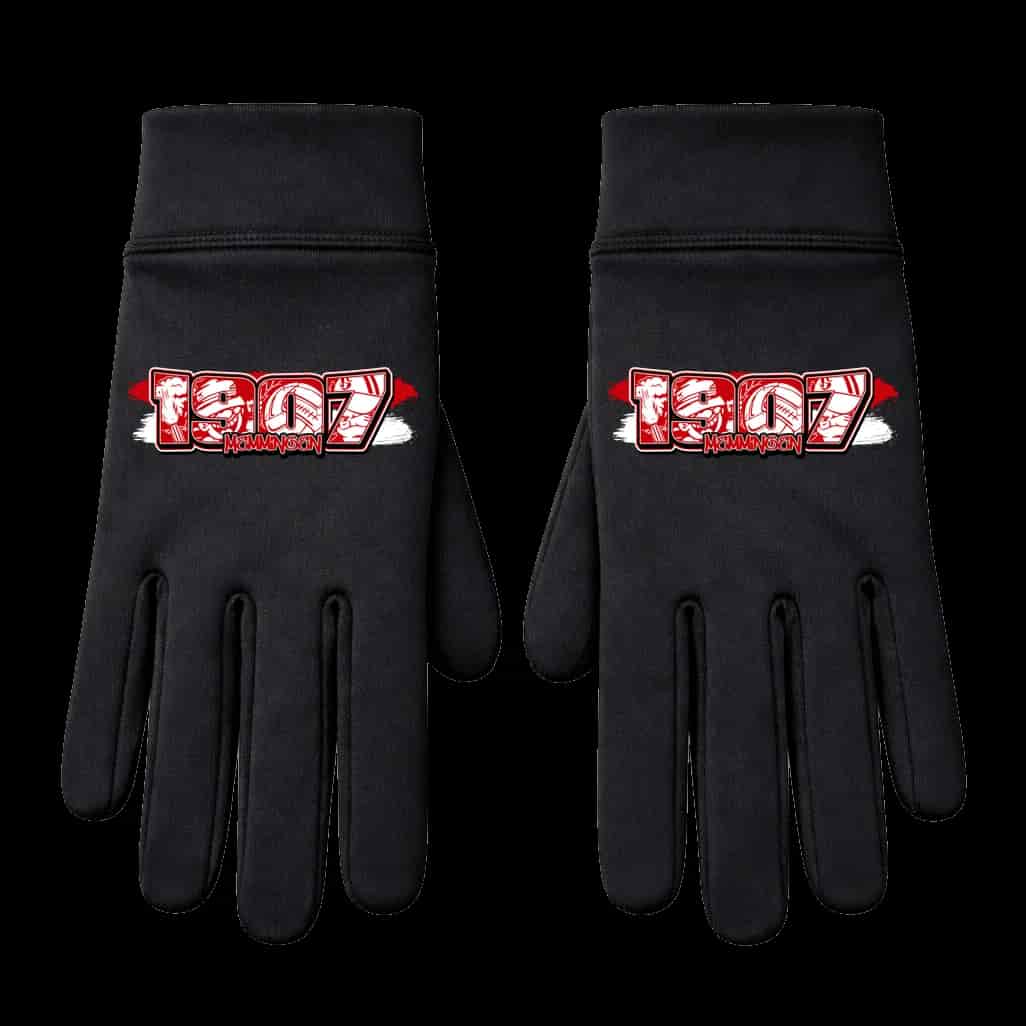 1907 Memmingen Handschuhe