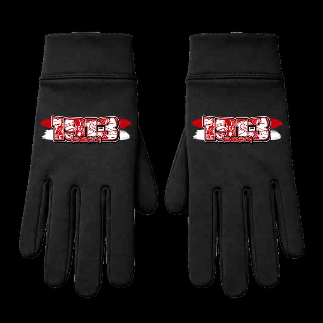 1913 Hemmingen Handschuhe