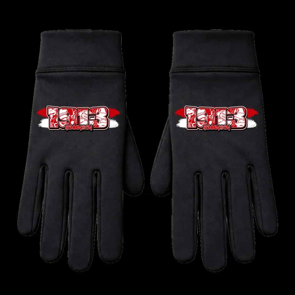 1913 Hemmingen Handschuhe
