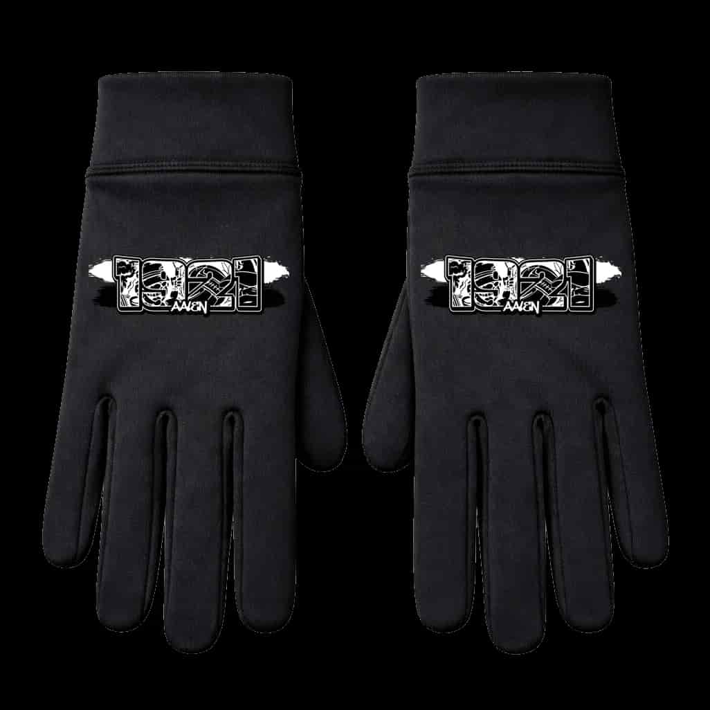 1921 Aalen Handschuhe