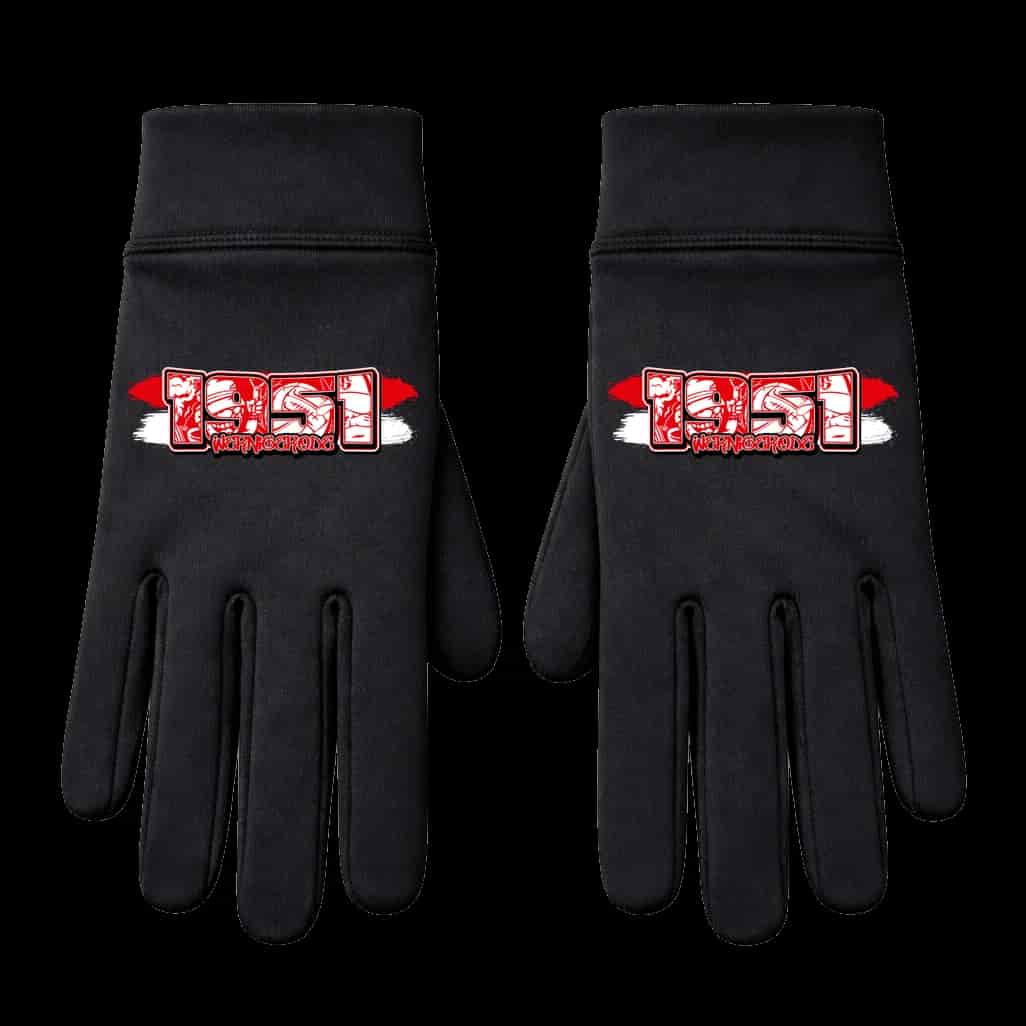 1951 Wernigerode Handschuhe