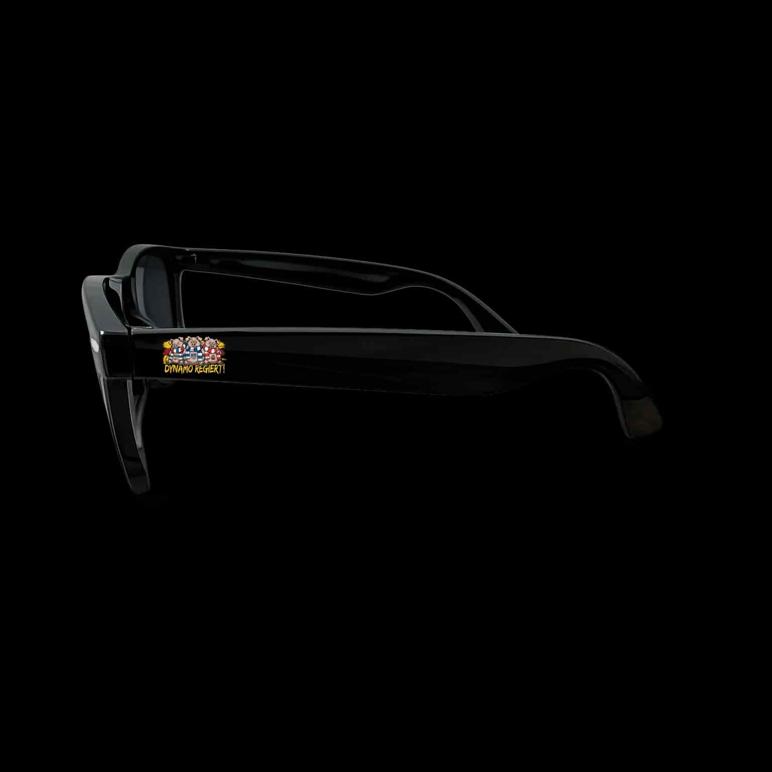 Dynamo Regiert! Sonnenbrille