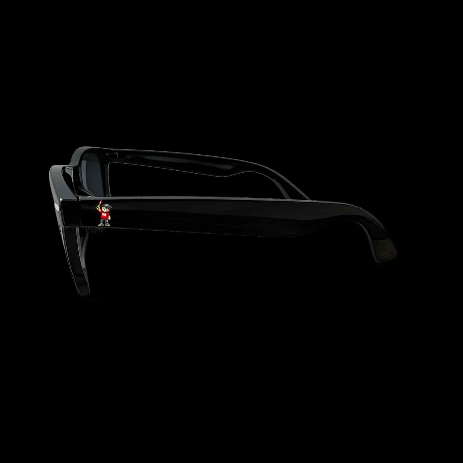 Kassel 1903 bear Sonnenbrille