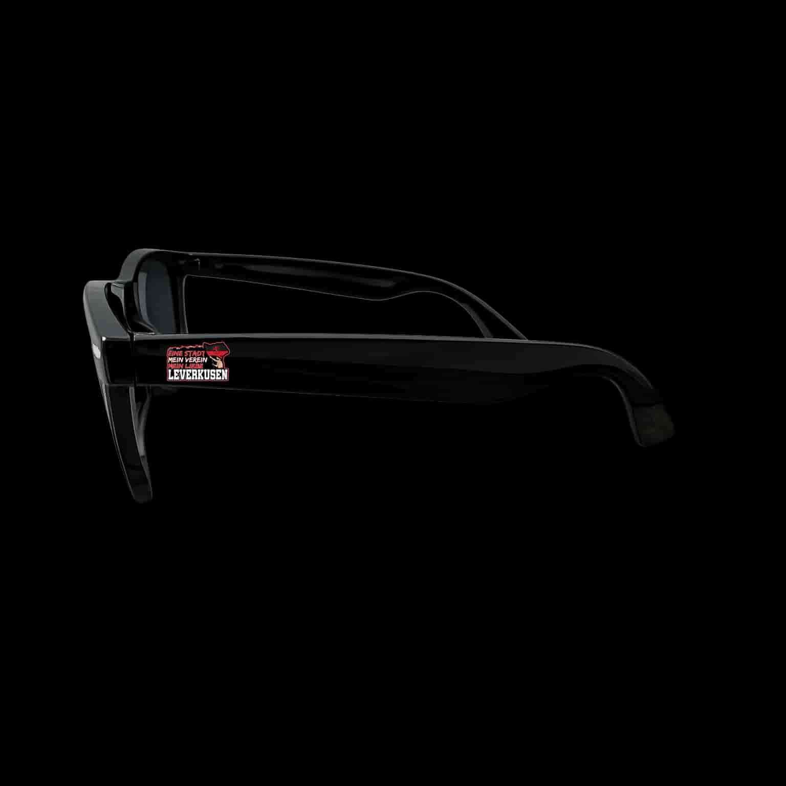 Leverkusen 1904, eine stadt, mein verein, mein liebe Sonnenbrille