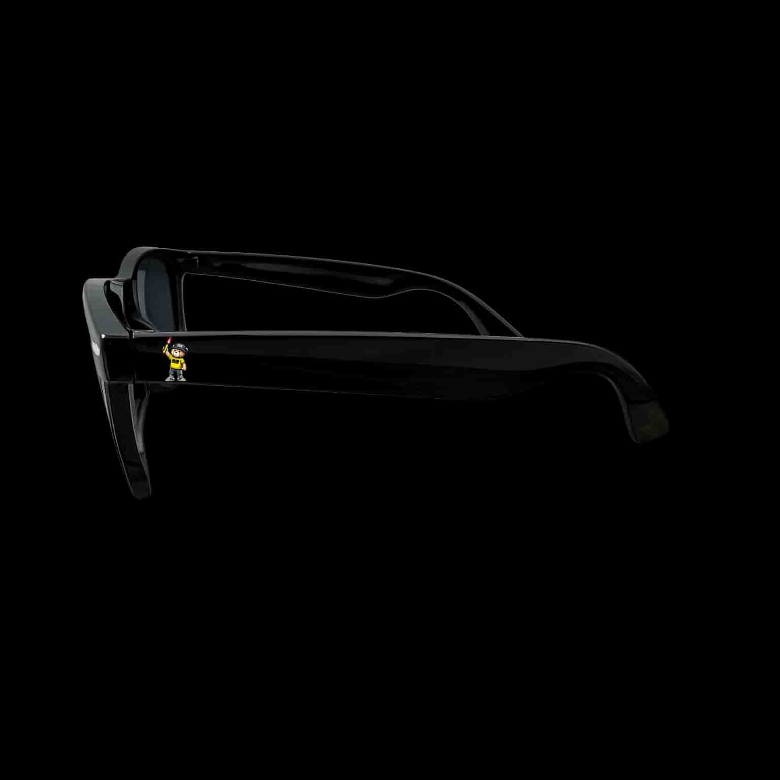 Wiesbach 1908 bear Sonnenbrille